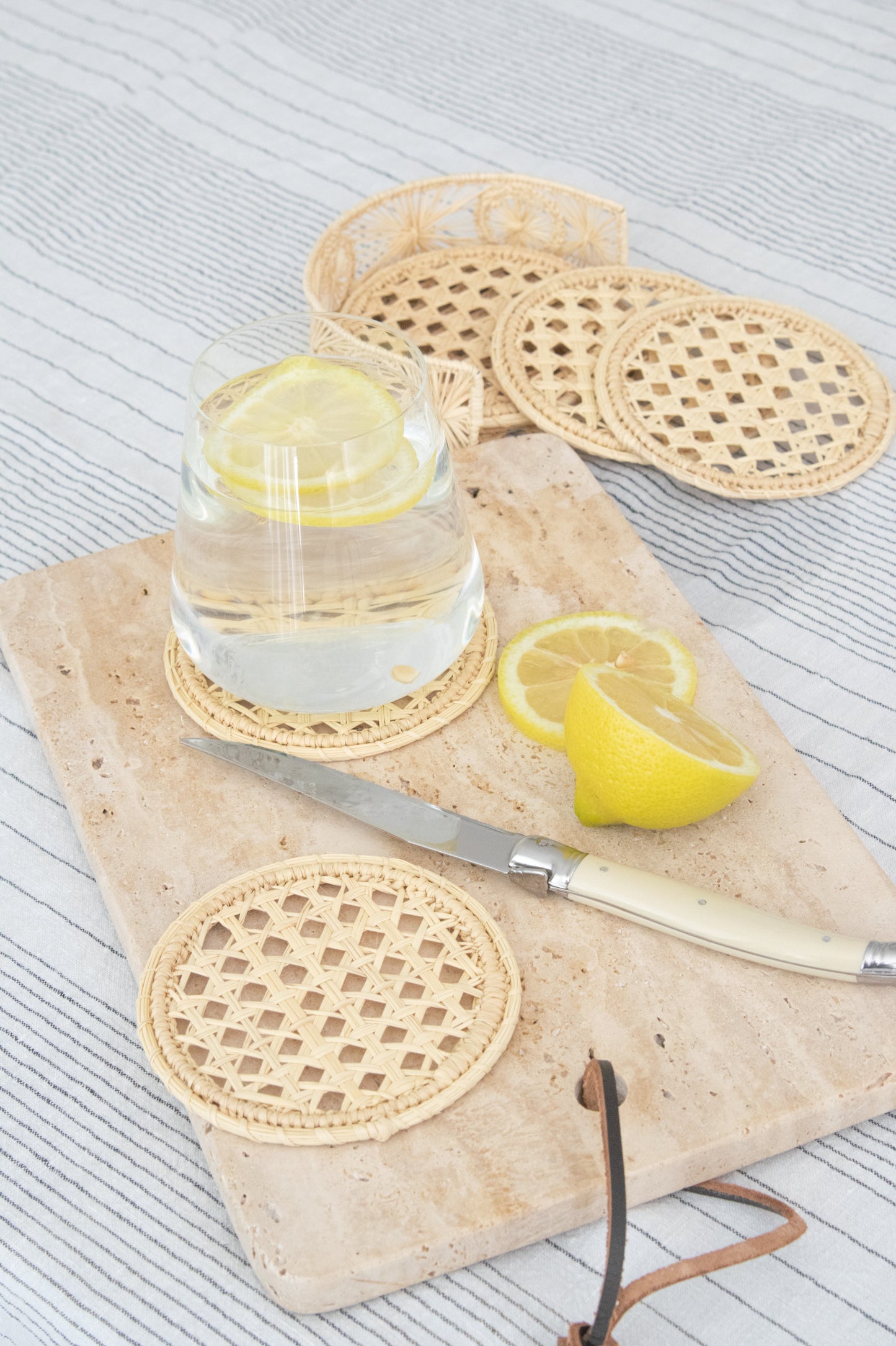 Posavasos Anticarsia