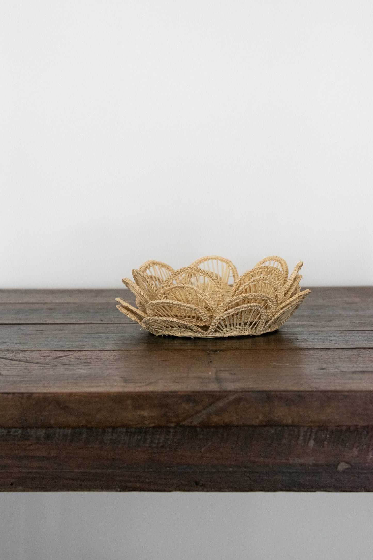 Posavasos Epinotia
