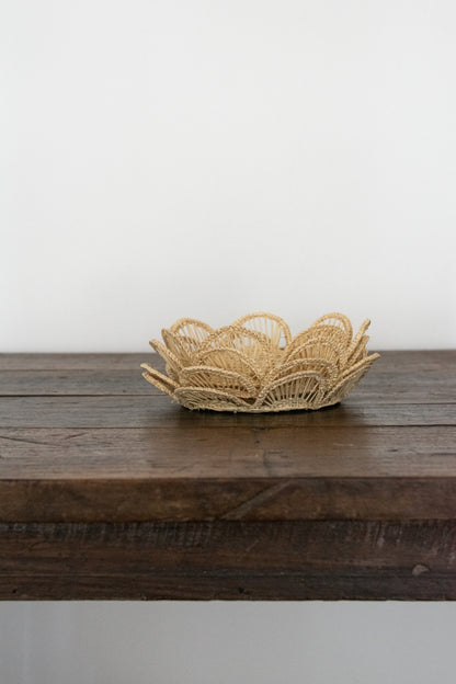 Posavasos Epinotia