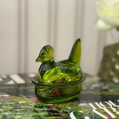 Gallinita